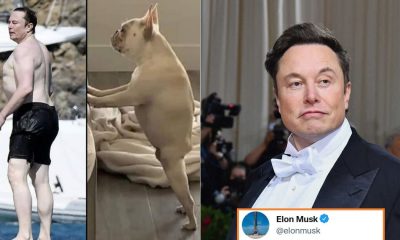 Elon Musk On The Spot Reply To Fan Who Compared His Shirtless Pic With A Dog