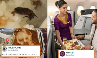 Air Vistara Responds After Passenger Complains About Cockroach In Food