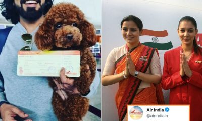 Air India Pet Dog On Flight