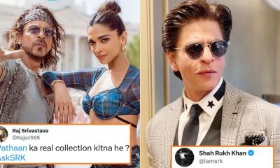 Shah Rukh Khan Pathaan real collection