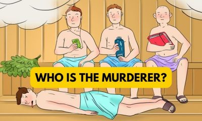 Who Is The Murderer Puzzle