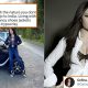 Celina Jaitly Gives Solid Reply To Troll Who Taunted Her For Living In Austria