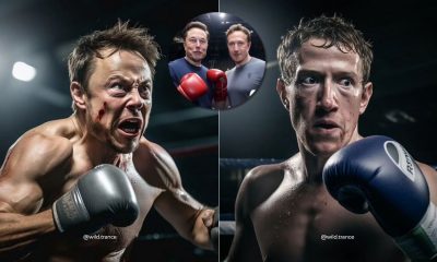 Elon Musk Mark Zuckerberg Cage Fight