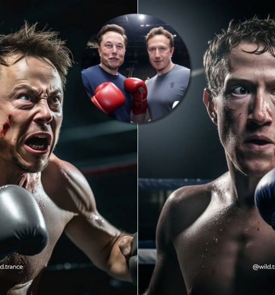 Elon Musk Mark Zuckerberg Cage Fight